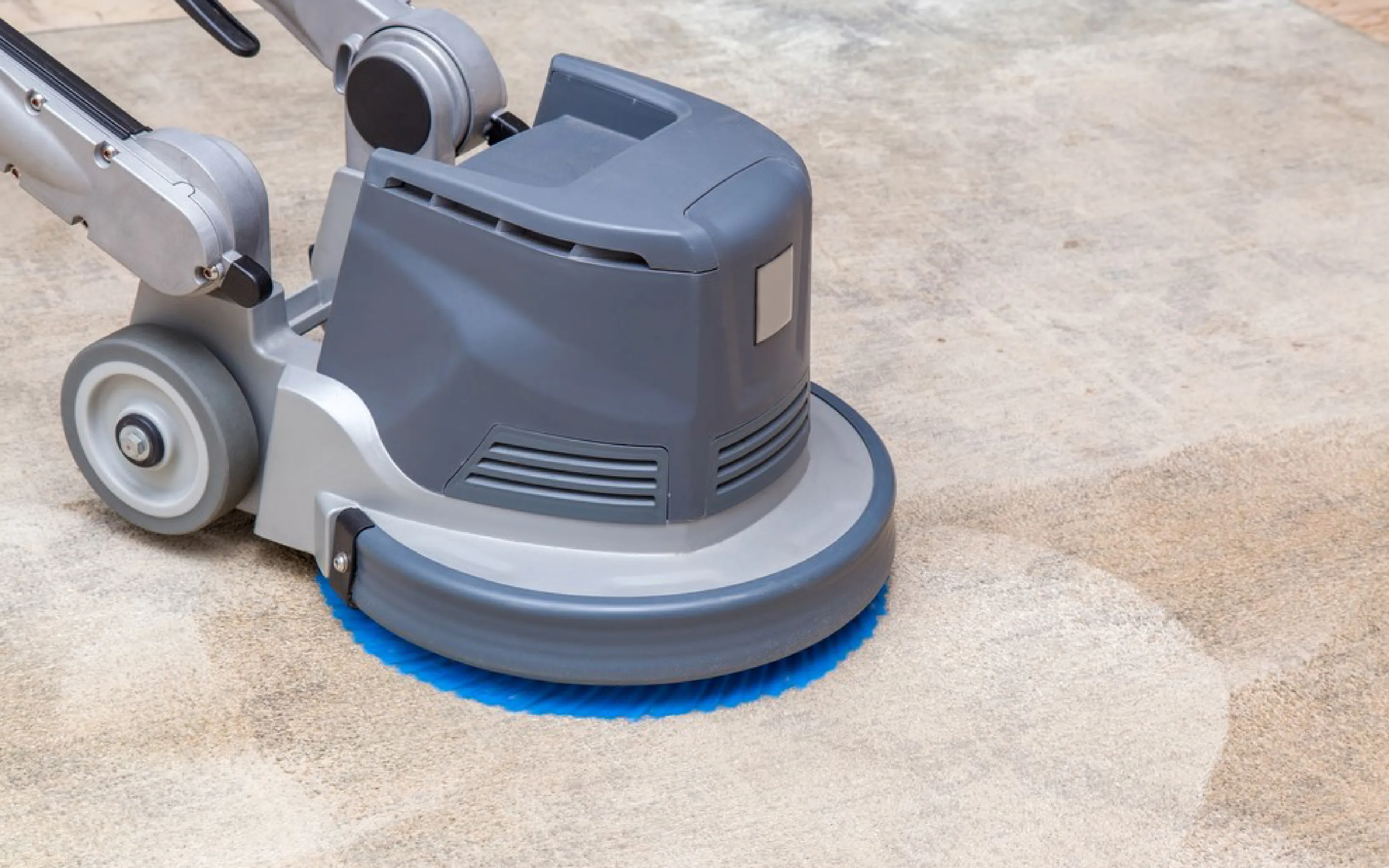 carpet cleaning in the westchester, carpet cleaning in the westchester, carpet cleaning the westchester, carpet cleaners in the westchester, carpet cleaners in the westchester, commercial carpet cleaning, commercial carpet cleaning in the westchester, the westchester rug cleaners, rug cleaning services in the westchester, same day carpet cleaning, same day rug cleaning